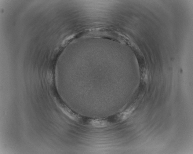 X0000070410568200606231831