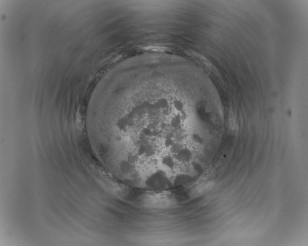 X0000070410569200606231831