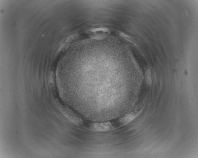 X0000070410571200606231831