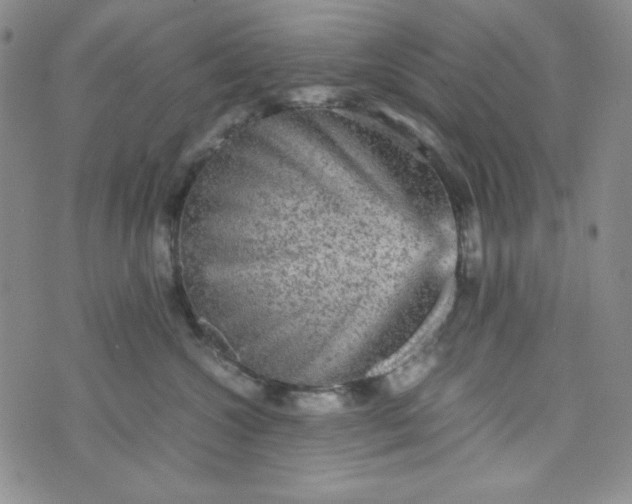 X0000070410572200606231831