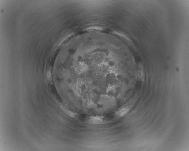 X0000070410573200606231831