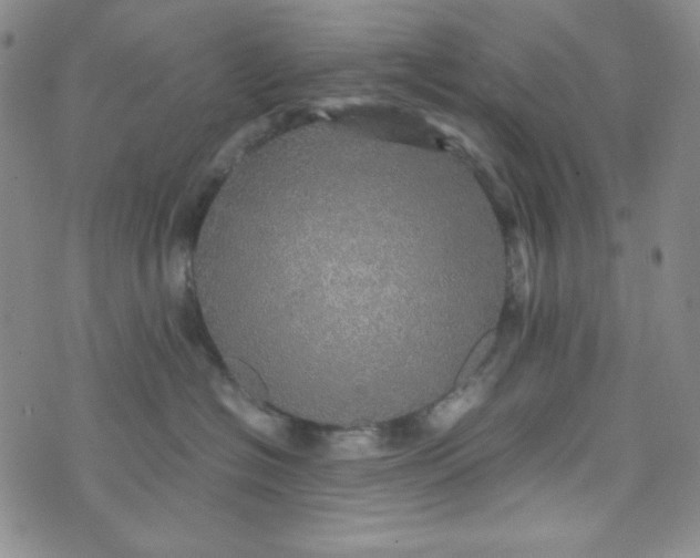 X0000070410574200606231831