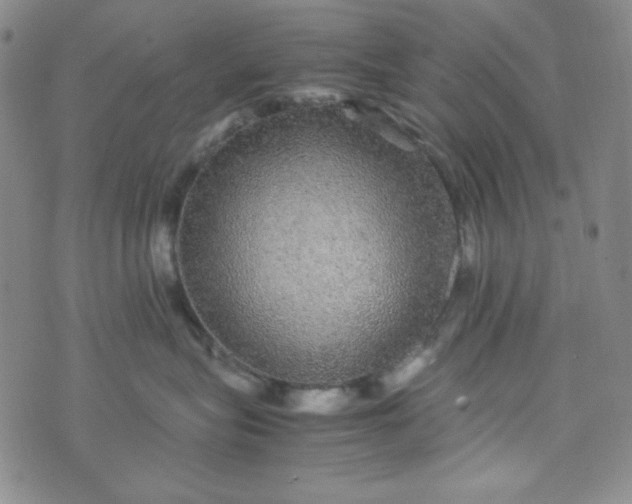 X0000070410575200606231831