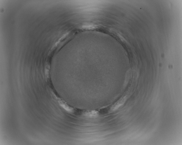 X0000070410576200606231831