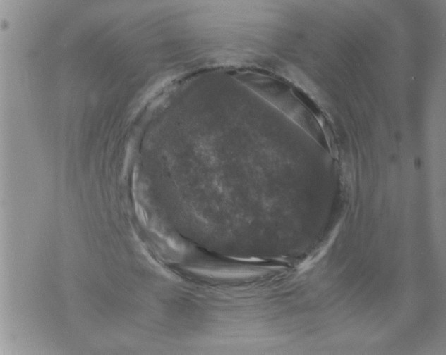 X0000070410577200606231830