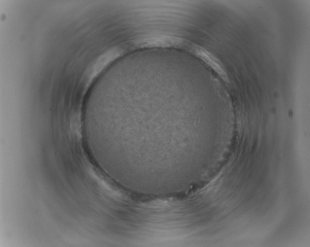 X0000070410578200606231830