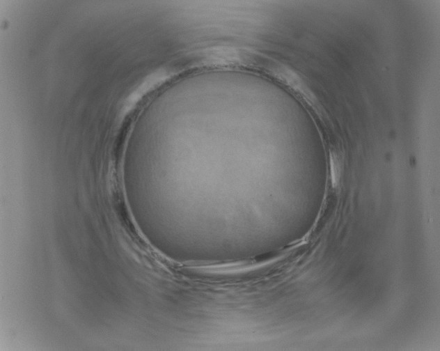 X0000070410579200606231830