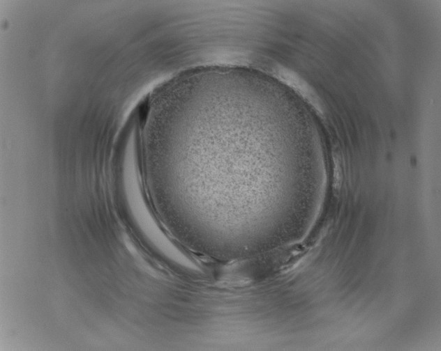 X0000070410580200606231830