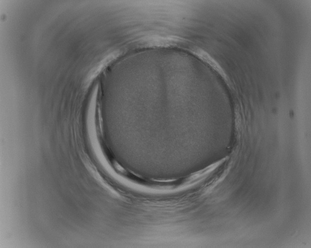 X0000070410581200606231830