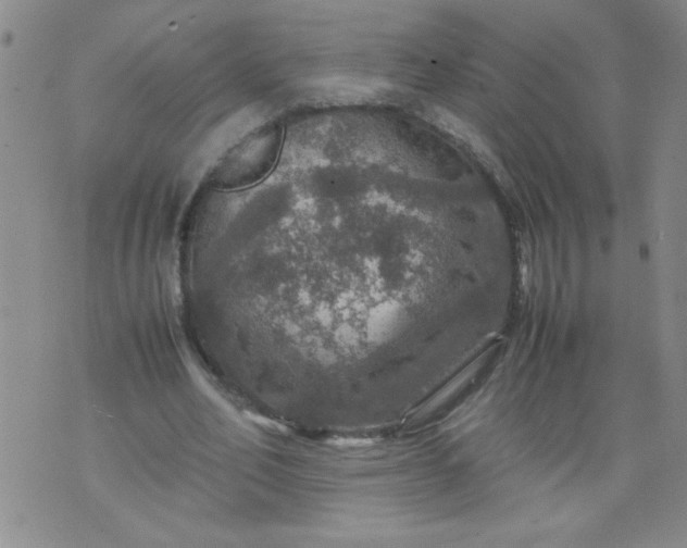 X0000070410582200606231830