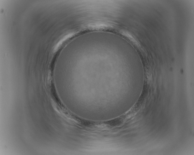 X0000070410583200606231830