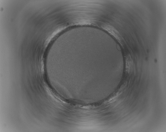 X0000070410584200606231830