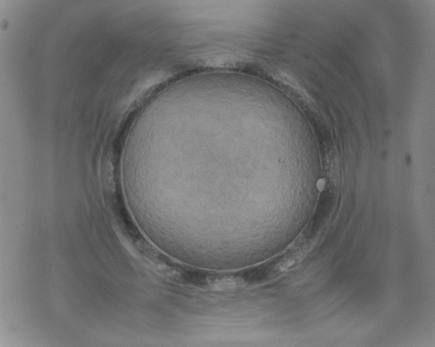 X0000070410587200606231830