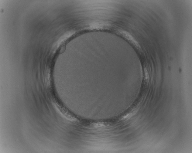 X0000070410588200606231830