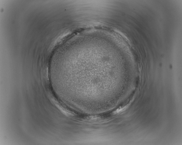 X0000070410589200606231830