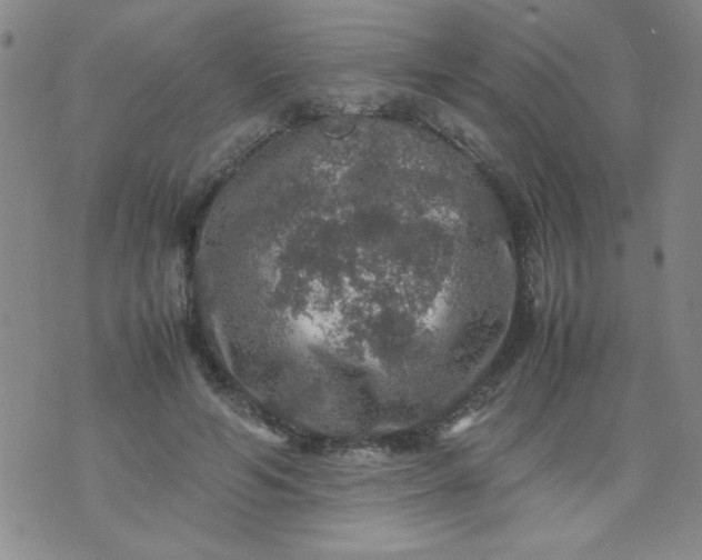 X0000070410594200606231830