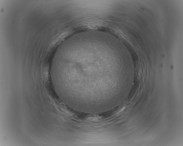 X0000070410595200606231830