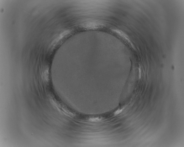 X0000070410596200606231830