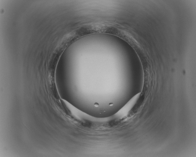 X0000070410597200606231830