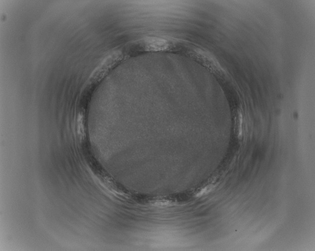 X0000070410598200606231830