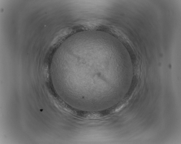 X0000070410599200606231830