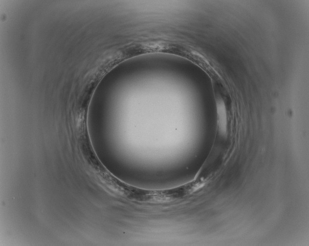 X0000070410601200606231830