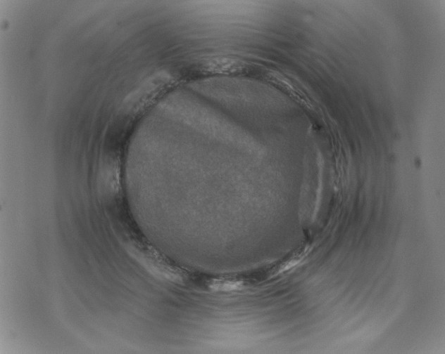 X0000070410602200606231830