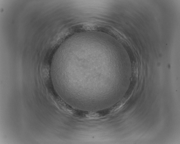 X0000070410603200606231830