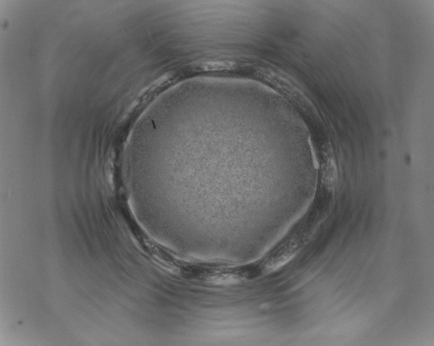 X0000070410604200606231830