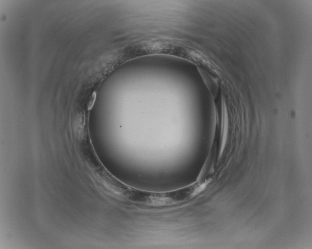 X0000070410605200606231830