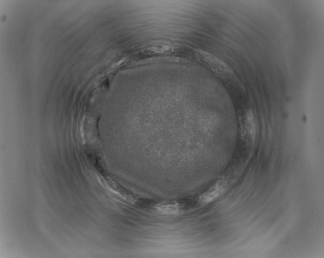 X0000070410606200606231830