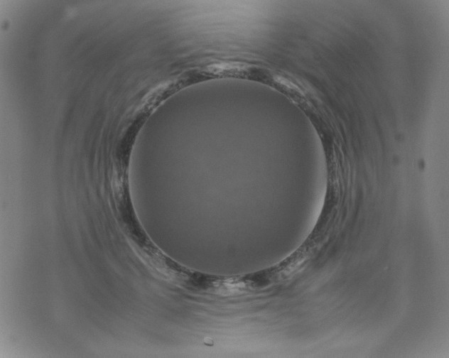 X0000070410607200606231830