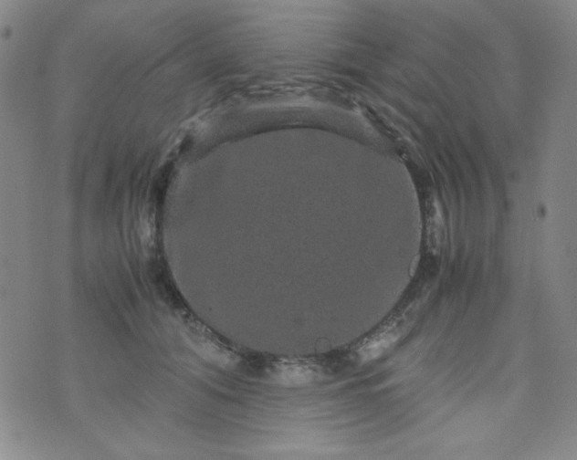 X0000070410608200606231830