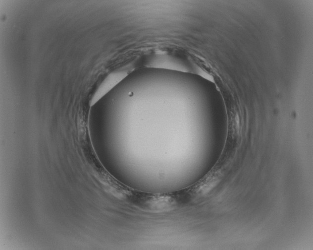 X0000070410609200606231830