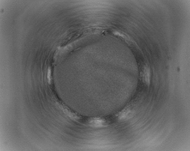 X0000070410610200606231830