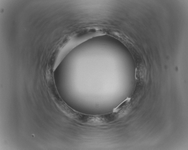 X0000070410611200606231830