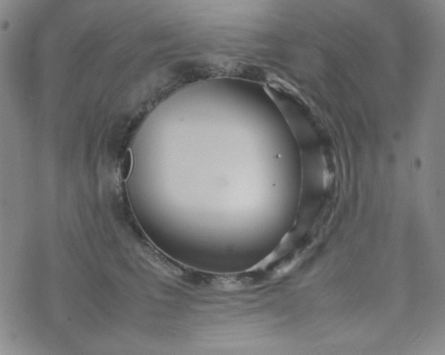 X0000070410613200606231830