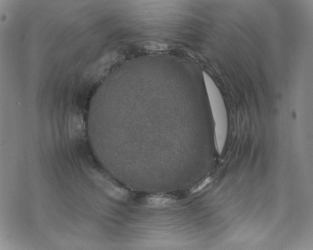 X0000070410614200606231830