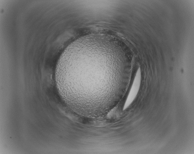 X0000070410615200606231830