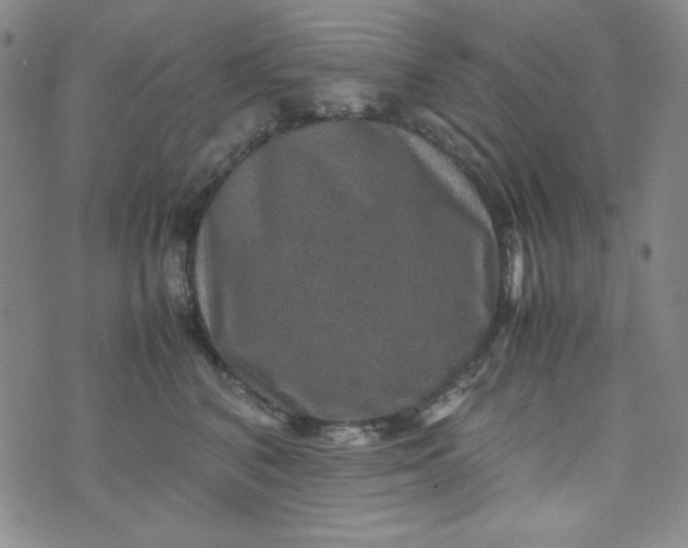 X0000070410616200606231830