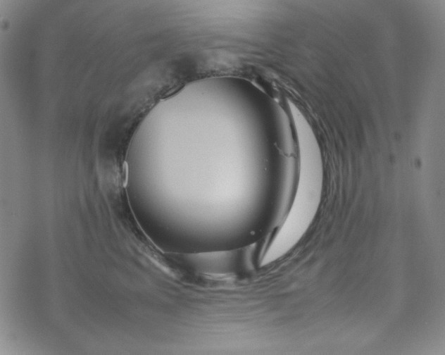 X0000070410617200606231830