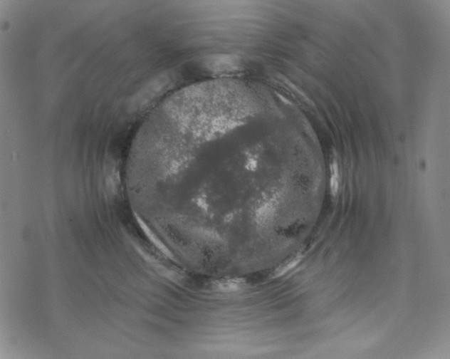 X0000070410618200606231830