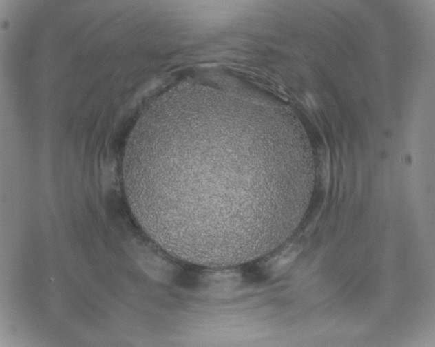 X0000070410619200606231830