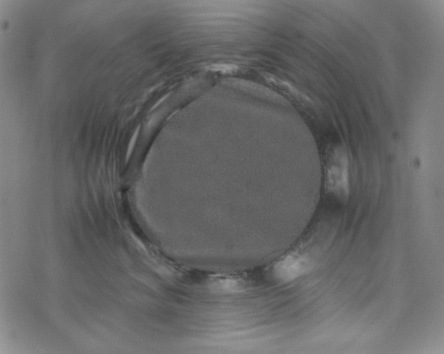 X0000070410620200606231830