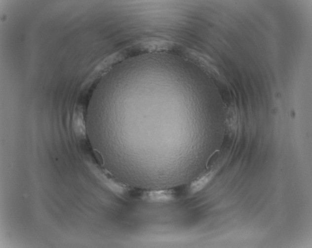 X0000070410622200606231829