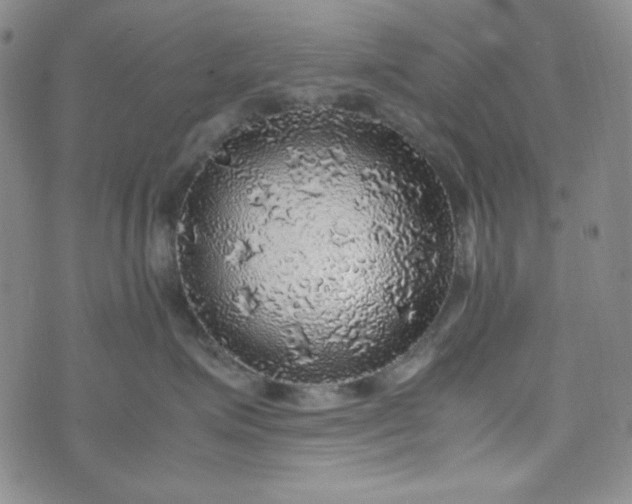 X0000070410623200606231829