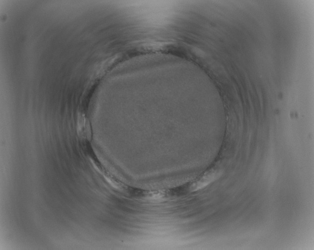 X0000070410624200606231829