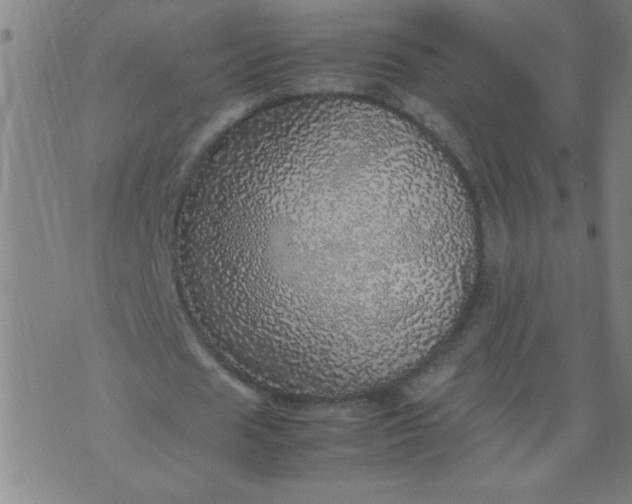 X0000070410625200606231829