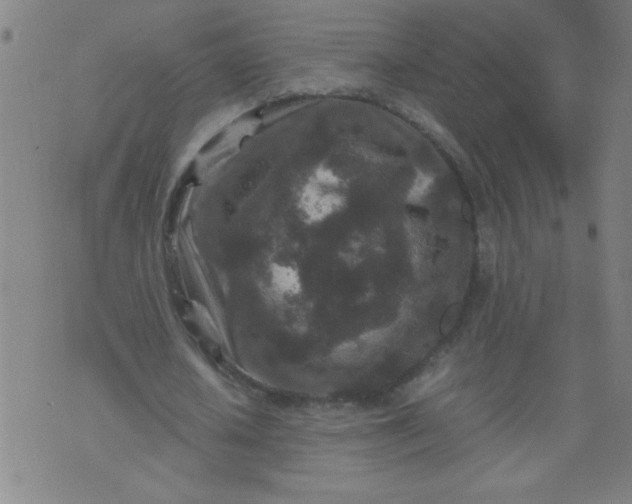 X0000070410626200606231829