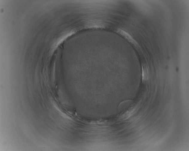 X0000070410627200606231829